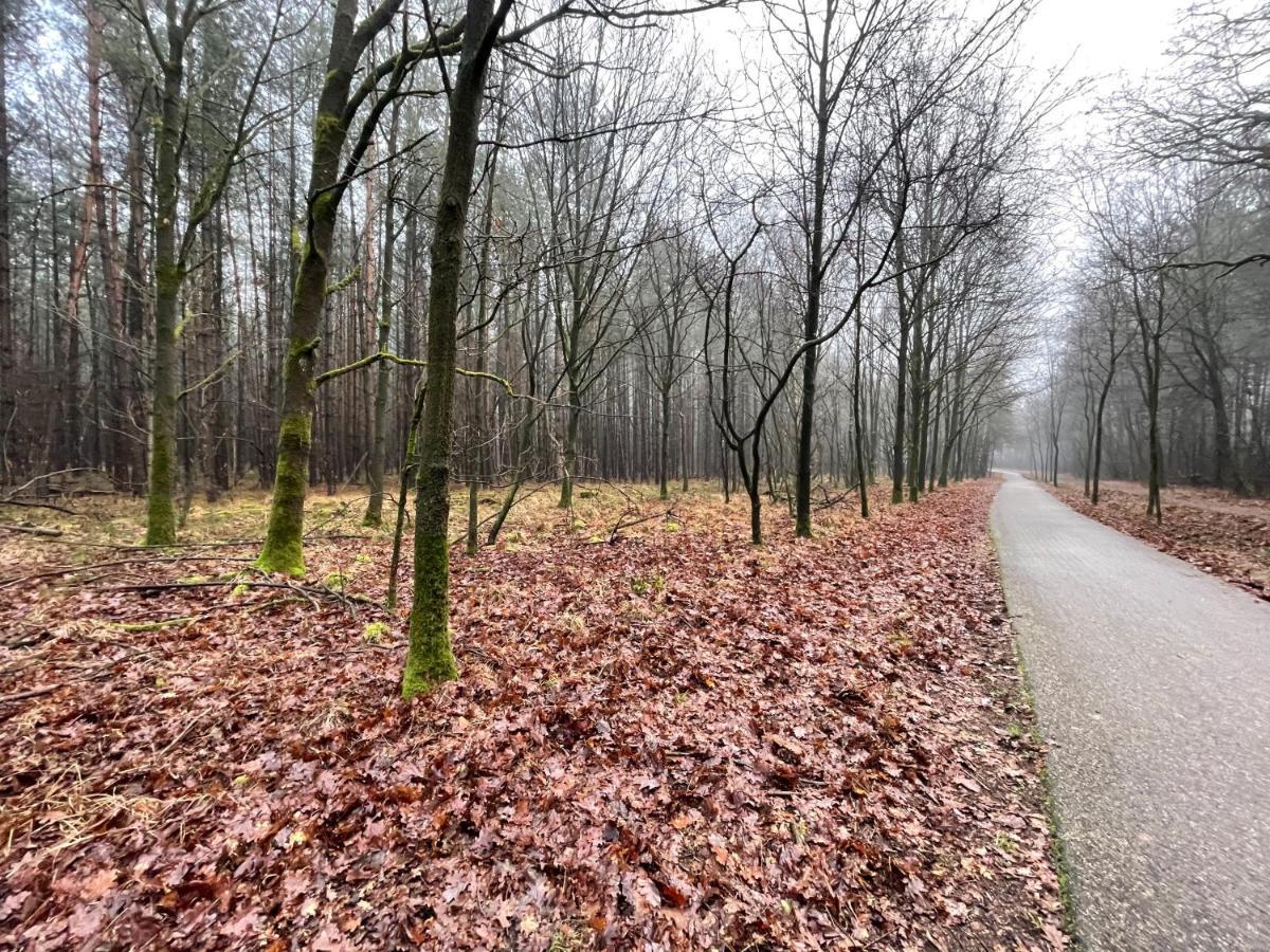 Elle'Belle Oudsbergen I 1-, 2- Or 3-Bedrooms Opglabbeek 外观 照片